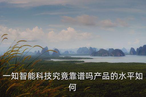 一知智能科技究竟靠譜嗎產(chǎn)品的水平如何