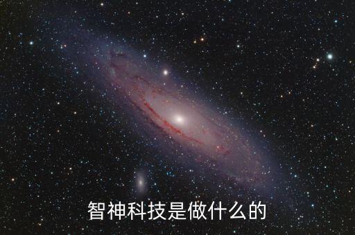 智神科技是做什么的