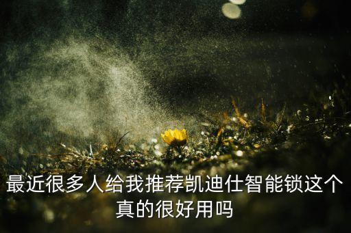 最近很多人給我推薦凱迪仕智能鎖這個真的很好用嗎