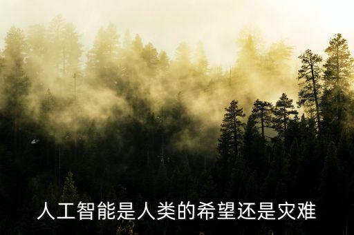 人工智能是人類的希望還是災(zāi)難