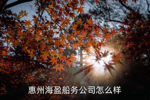 惠州海盈船務(wù)公司怎么樣