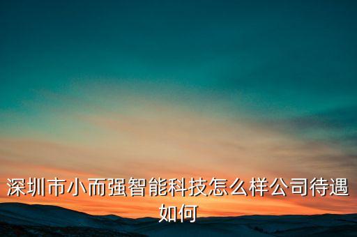 深圳市小而強(qiáng)智能科技怎么樣公司待遇如何