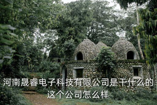 河南晟睿電子科技有限公司是干什么的這個公司怎么樣