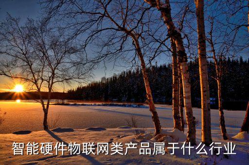 智能硬件物聯(lián)網(wǎng)類產(chǎn)品屬于什么行業(yè)