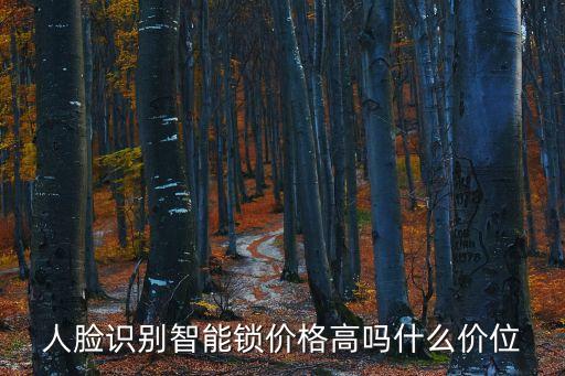 人臉識別智能鎖價格高嗎什么價位