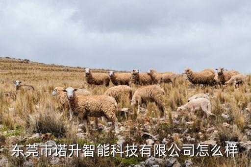 東莞市諾升智能科技有限公司怎么樣