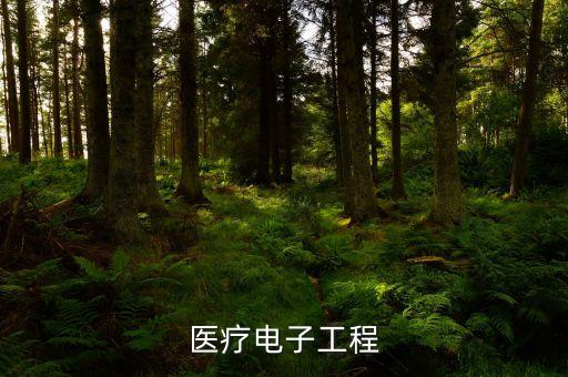 醫(yī)療電子工程