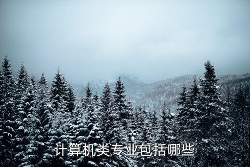 計(jì)算機(jī)類專業(yè)包括哪些