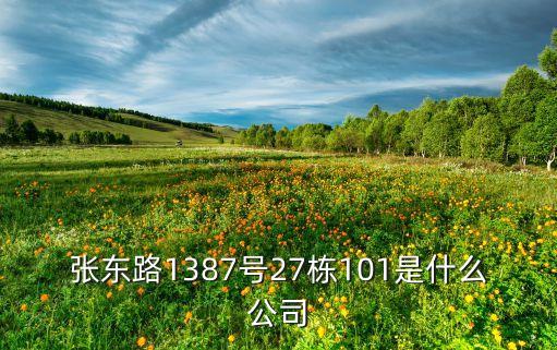 張東路1387號(hào)27棟101是什么公司