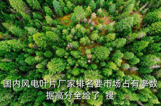 明陽智能與金風(fēng)科技哪個好，國內(nèi)風(fēng)電葉片廠家排名要市場占有率數(shù)據(jù)高分全給了  搜