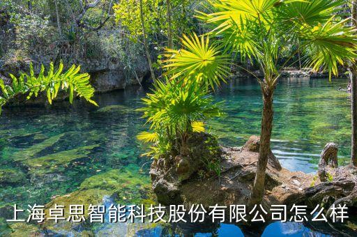 上海卓思智能科技股份有限公司怎么樣