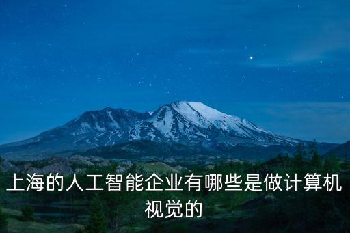 上海的人工智能企業(yè)有哪些是做計(jì)算機(jī)視覺(jué)的