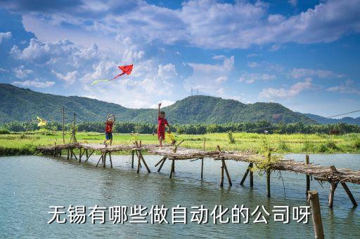 無錫有哪些做自動化的公司呀