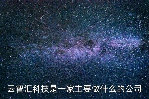 云智匯科技是一家主要做什么的公司