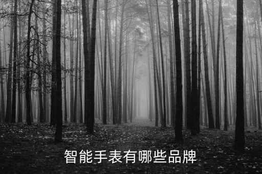 數(shù)字科技智能手表有哪些，智能手表有哪些品牌的啊