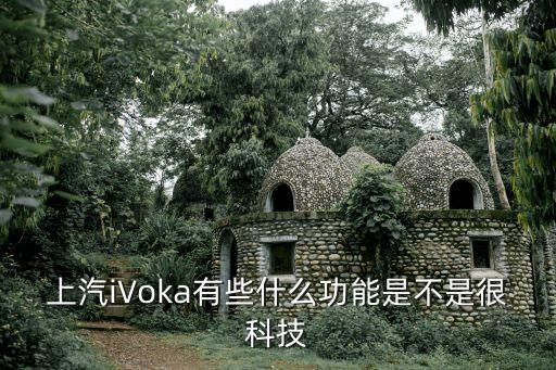 上汽iVoka有些什么功能是不是很科技