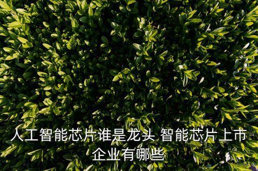 人工智能芯片誰是龍頭 智能芯片上市企業(yè)有哪些