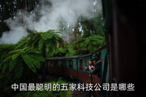 中國最聰明的五家科技公司是哪些