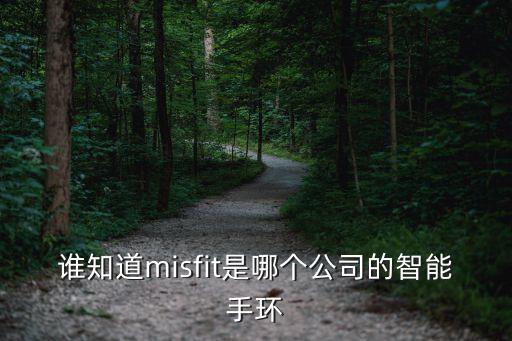 誰(shuí)知道m(xù)isfit是哪個(gè)公司的智能手環(huán)