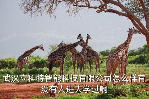 立博智能科技怎么樣，中國立博財富股份有限公司怎樣