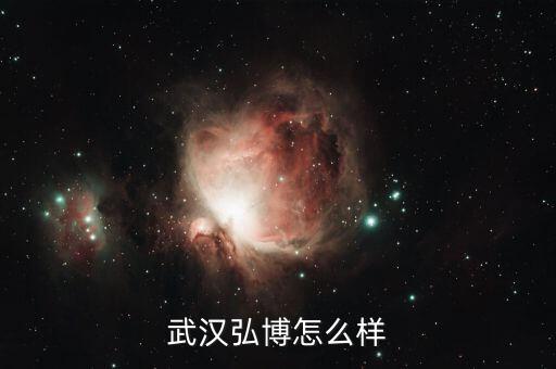 武漢弘博怎么樣