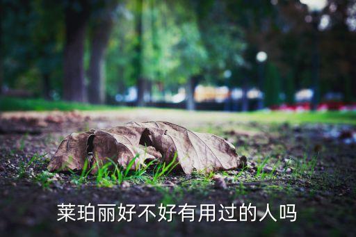 萊珀麗好不好有用過的人嗎