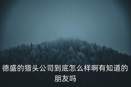 德盛的獵頭公司到底怎么樣啊有知道的朋友嗎