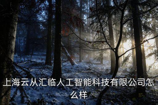 上海云從匯臨人工智能科技有限公司怎么樣