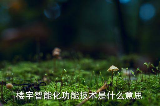 樓宇智能化功能技術是什么意思