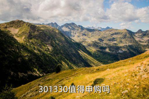 301330值得申購嗎