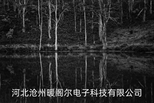 滄州市智能科技公司有哪些，滄州有哪些做系統(tǒng)集成的公司