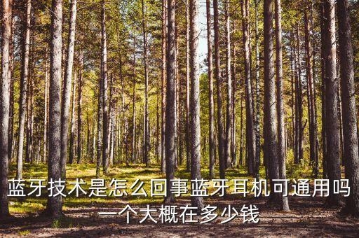 藍牙技術(shù)是怎么回事藍牙耳機可通用嗎一個大概在多少錢