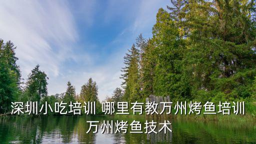 布吉智能科技怎么樣，深圳布吉百百門前工業(yè)區(qū)有什么廠 那里的電子廠多不多 工資怎么樣