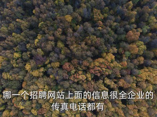 哪一個招聘網(wǎng)站上面的信息很全企業(yè)的傳真電話都有