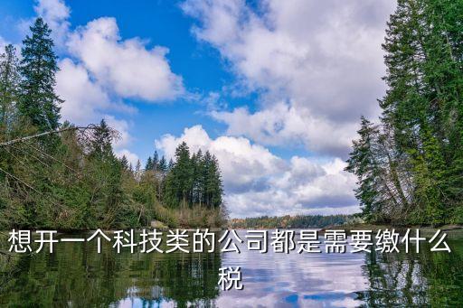 做智能科技公司交哪些稅，科技服務(wù)型公司交什么稅