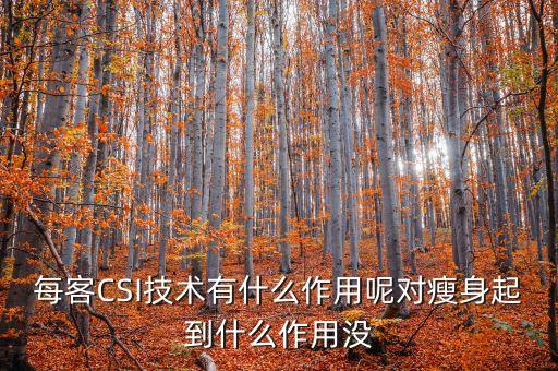 每客CSI技術有什么作用呢對瘦身起到什么作用沒