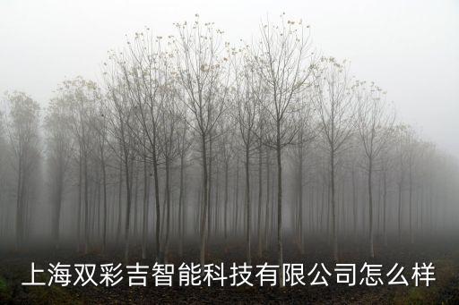 上海雙彩吉智能科技有限公司怎么樣