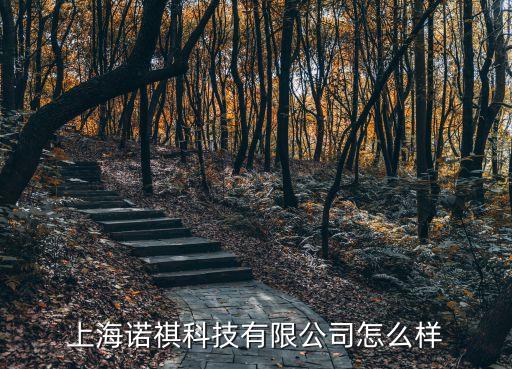上海諾祺科技有限公司怎么樣