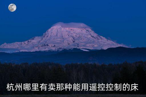 杭州哪里有賣那種能用遙控控制的床