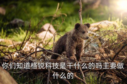 垚格智能科技是做什么的，你們知道格銳科技是干什么的嗎主要做什么的