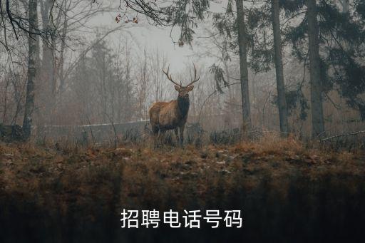 慧都智能科技招聘電話多少，智聯(lián)招聘咨詢電話是多少