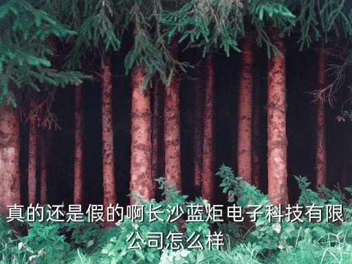 真的還是假的啊長沙藍炬電子科技有限公司怎么樣