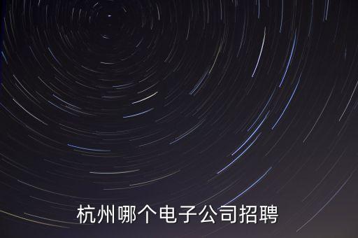 杭州哪個電子公司招聘