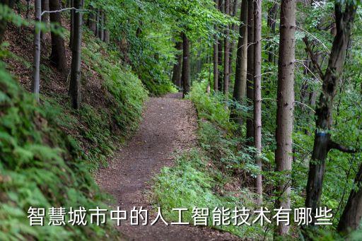 智慧城市中的人工智能技術(shù)有哪些