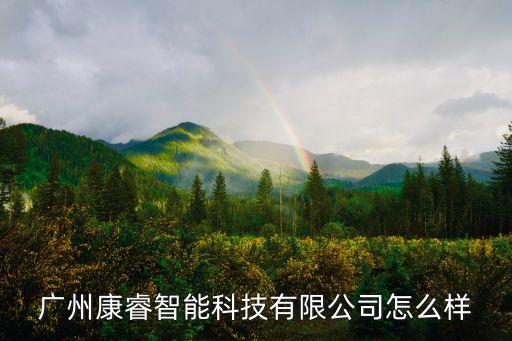 廣州康睿智能科技有限公司怎么樣