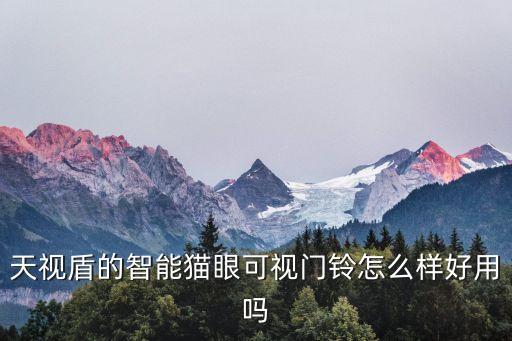 天視盾的智能貓眼可視門鈴怎么樣好用嗎