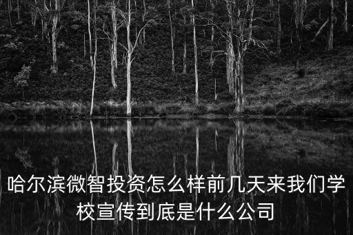 哈爾濱微智投資怎么樣前幾天來我們學校宣傳到底是什么公司