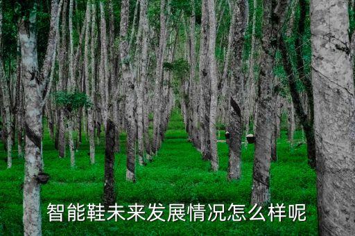 智能鞋未來(lái)發(fā)展情況怎么樣呢