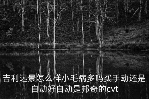 吉利遠(yuǎn)景怎么樣小毛病多嗎買手動(dòng)還是自動(dòng)好自動(dòng)是邦奇的cvt