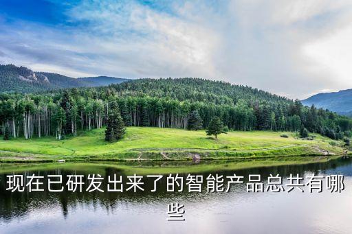 現(xiàn)在已研發(fā)出來了的智能產(chǎn)品總共有哪些